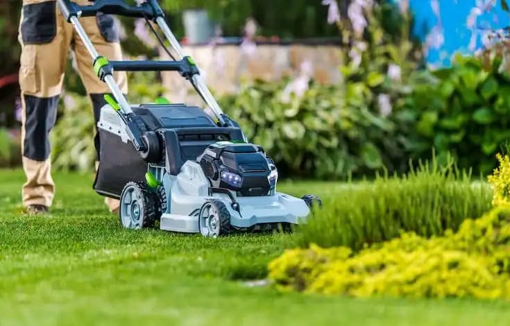 Jardin entretenu par APS, pelouse fraîchement tondue